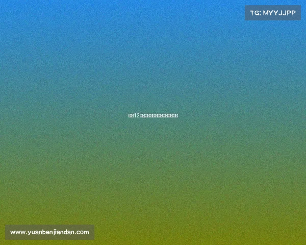 女排12日赛事激烈交锋精彩纷呈荣耀时刻